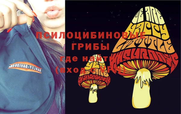 кристаллы Алексин